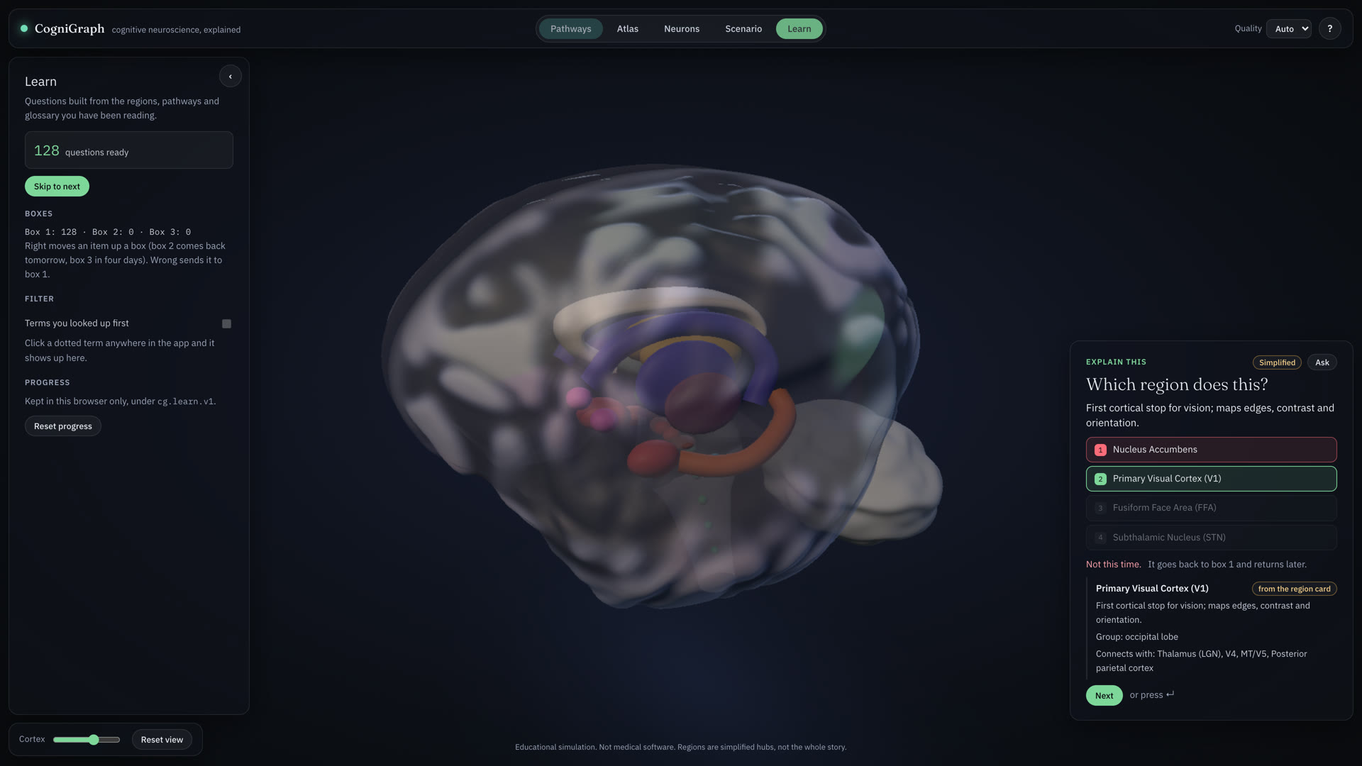 Learn mode: a question bank, three Leitner boxes, and a question card asking Which region does this? with Primary Visual Cortex marked correct and the region glowing green on the brain.